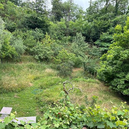 Bed and Breakfast Casa Octavia San Martino in Freddana Экстерьер фото