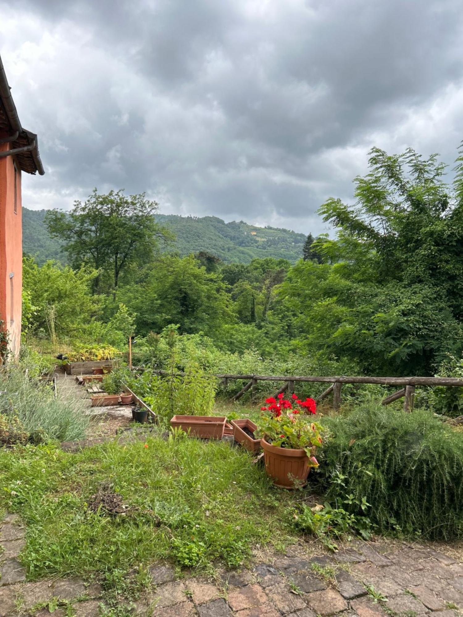 Bed and Breakfast Casa Octavia San Martino in Freddana Экстерьер фото
